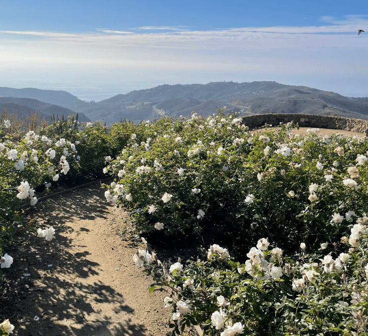 Stonewall Ranch Malibu portfolio 3