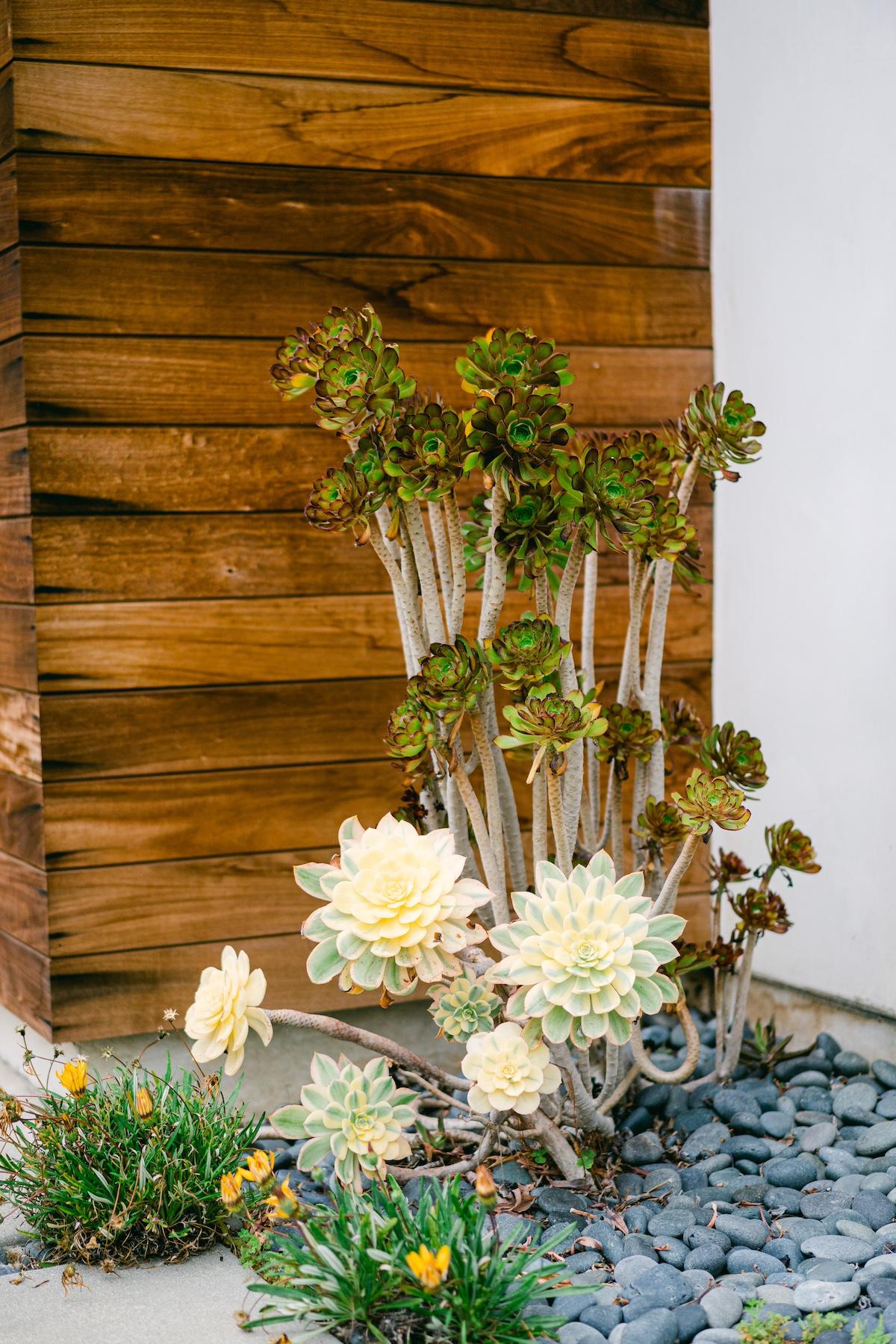 A Romantic Spring Wedding at Stonewall Ranch Malibu 99