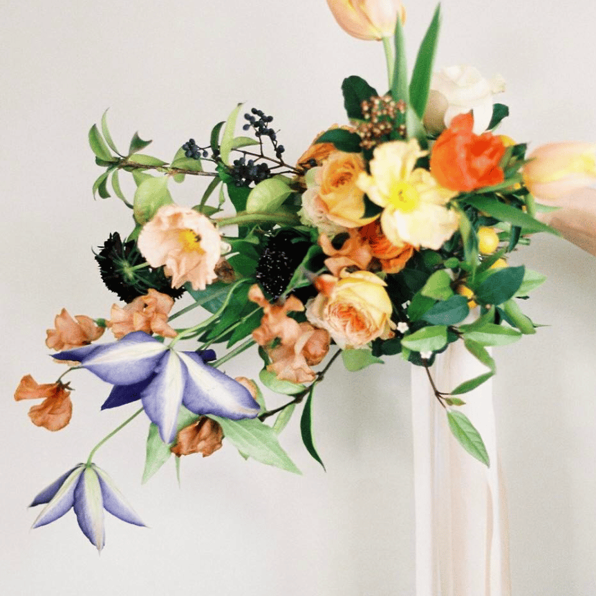 Pavan Floral portfolio 2