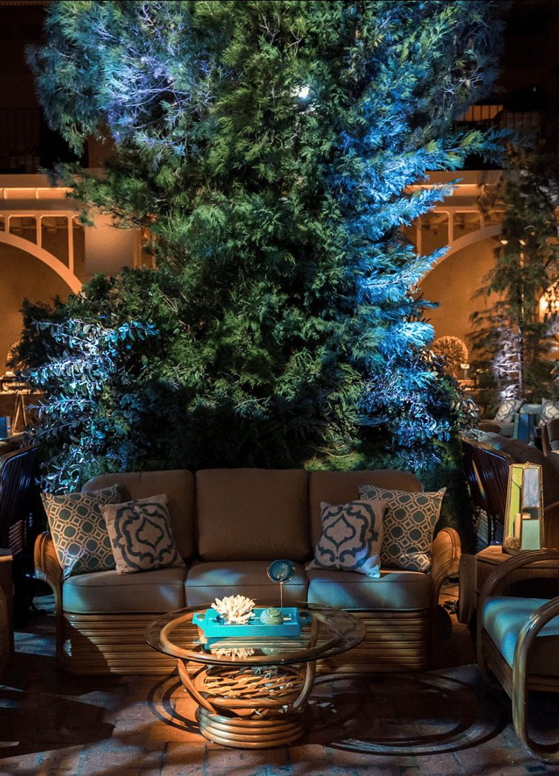 Images By Lighting portfolio 3