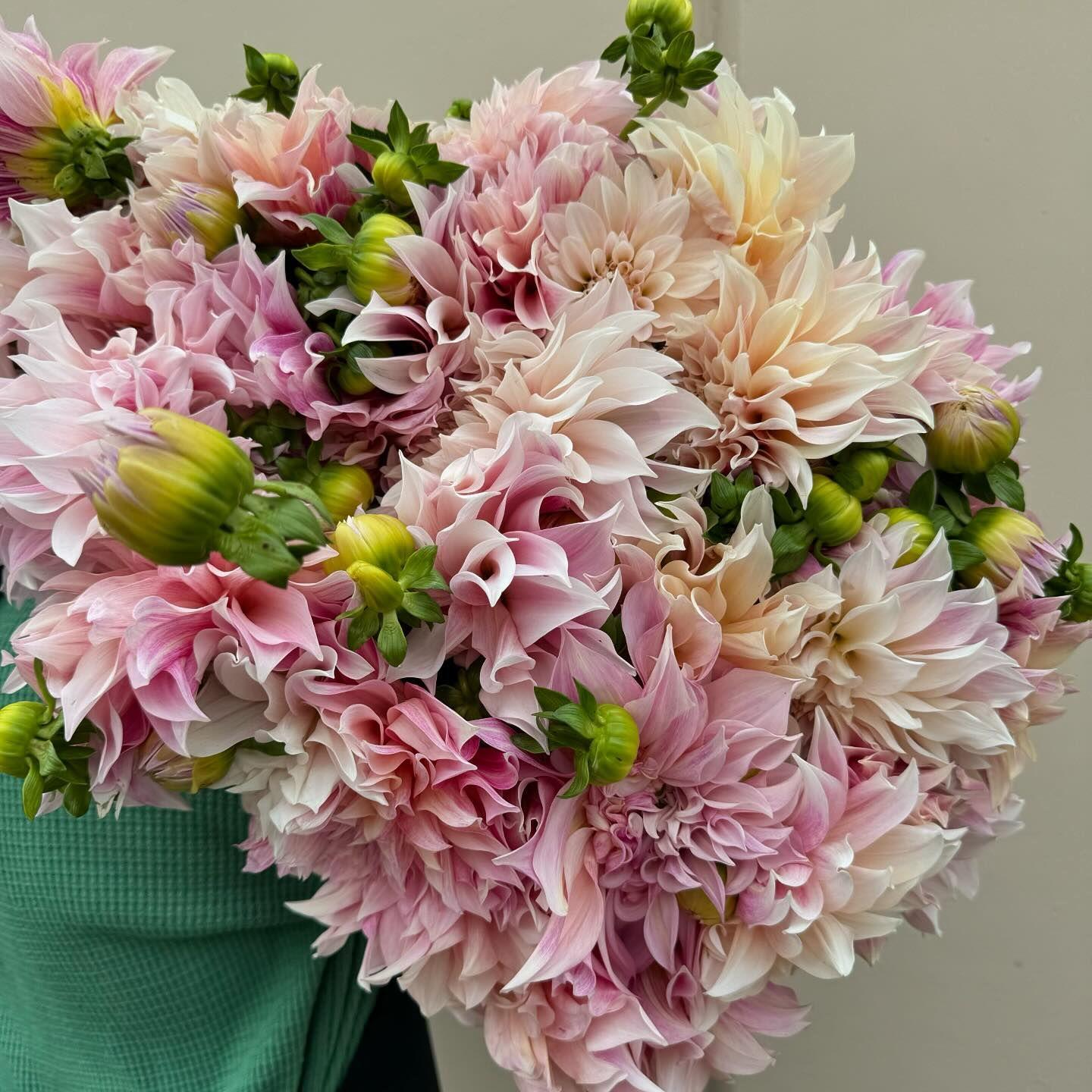 OC Wholesale Flowers portfolio 1