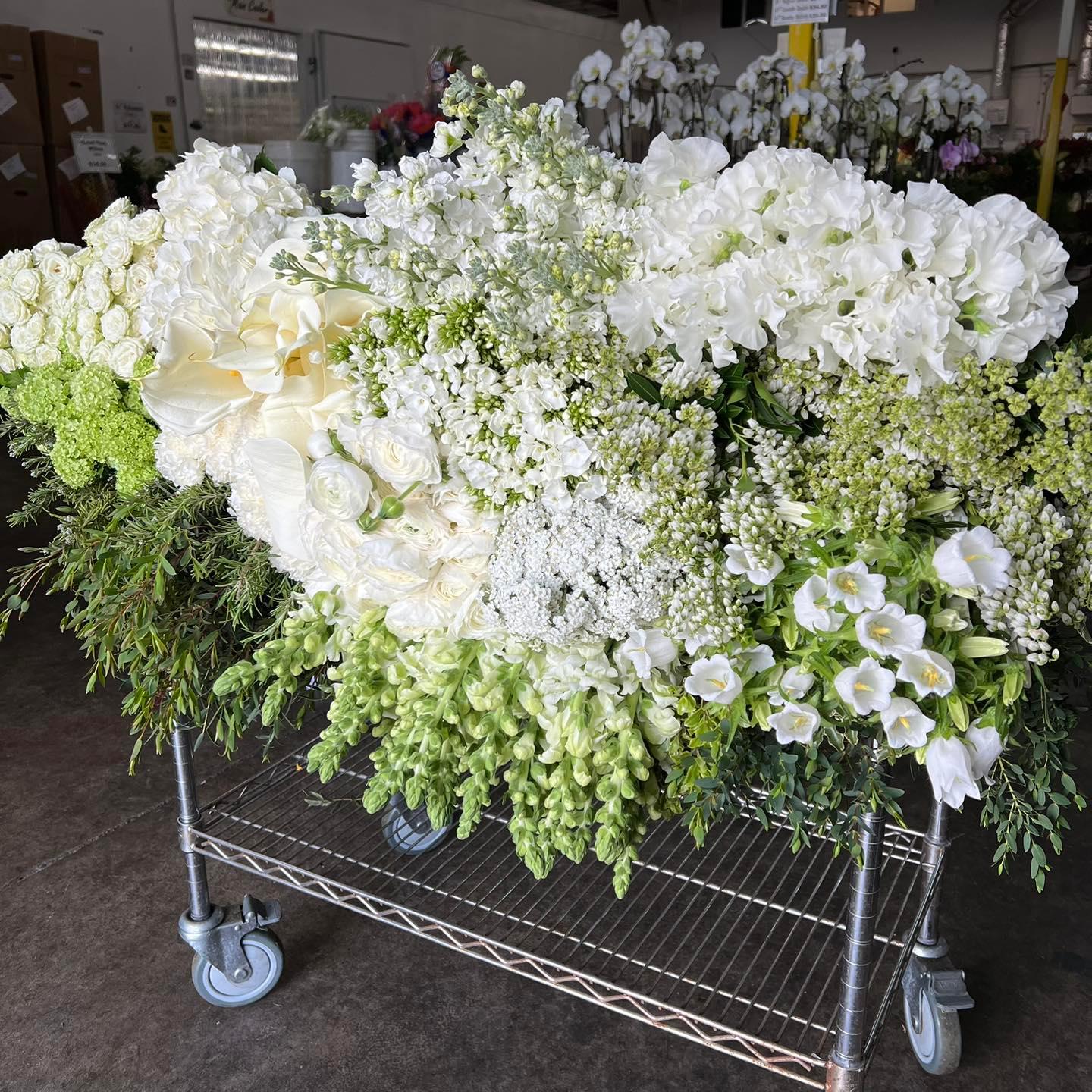 OC Wholesale Flowers portfolio 4