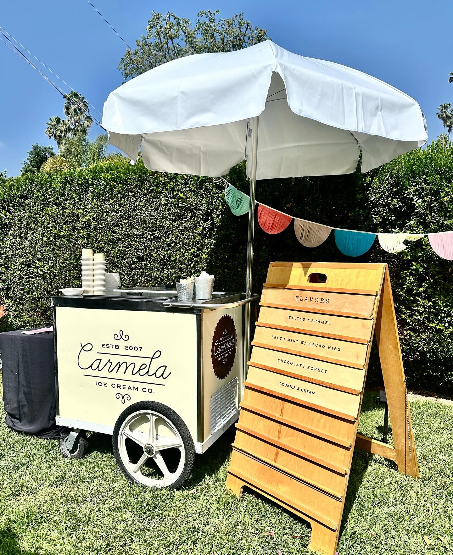 Carmela Ice Cream portfolio 3