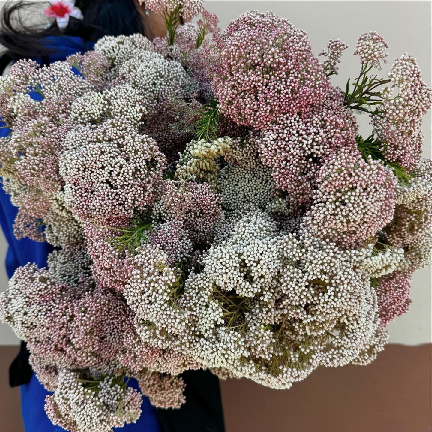 OC Wholesale Flowers portfolio 3