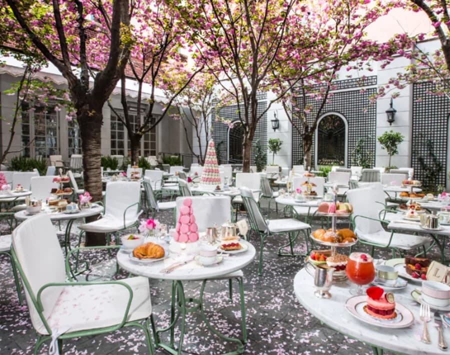 Ladurée portfolio 4
