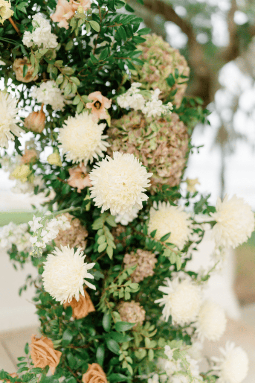 Tuli Floral Co. portfolio 3