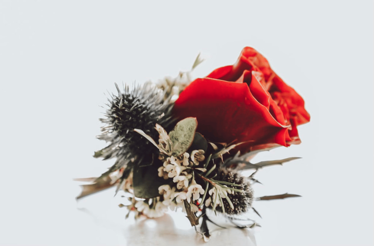 Bloom & Forage portfolio 1