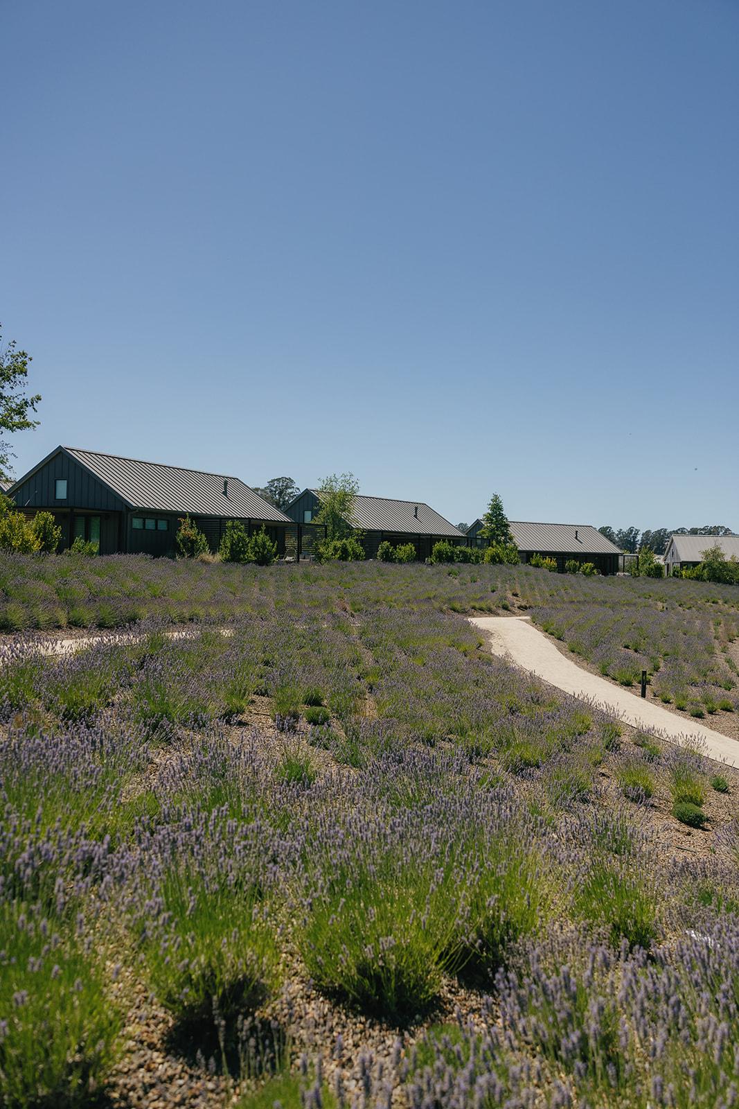 Stanly Ranch