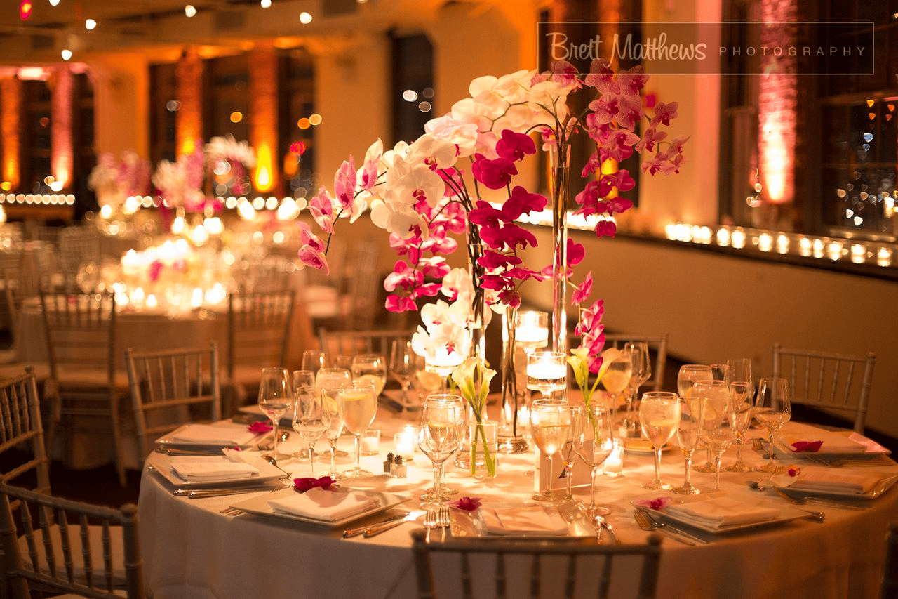 The Event of a Lifetime, Inc. portfolio 3