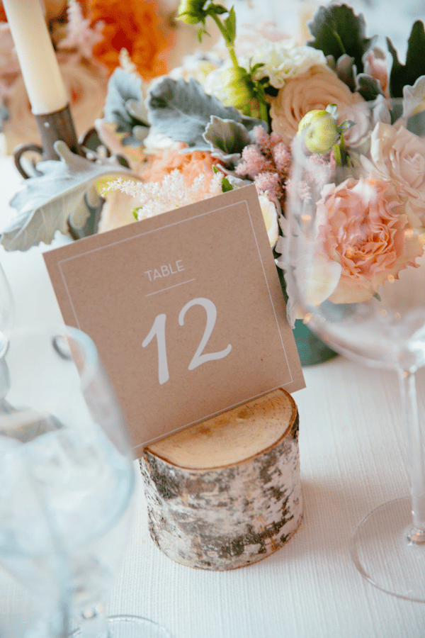 The Event of a Lifetime, Inc. portfolio 5