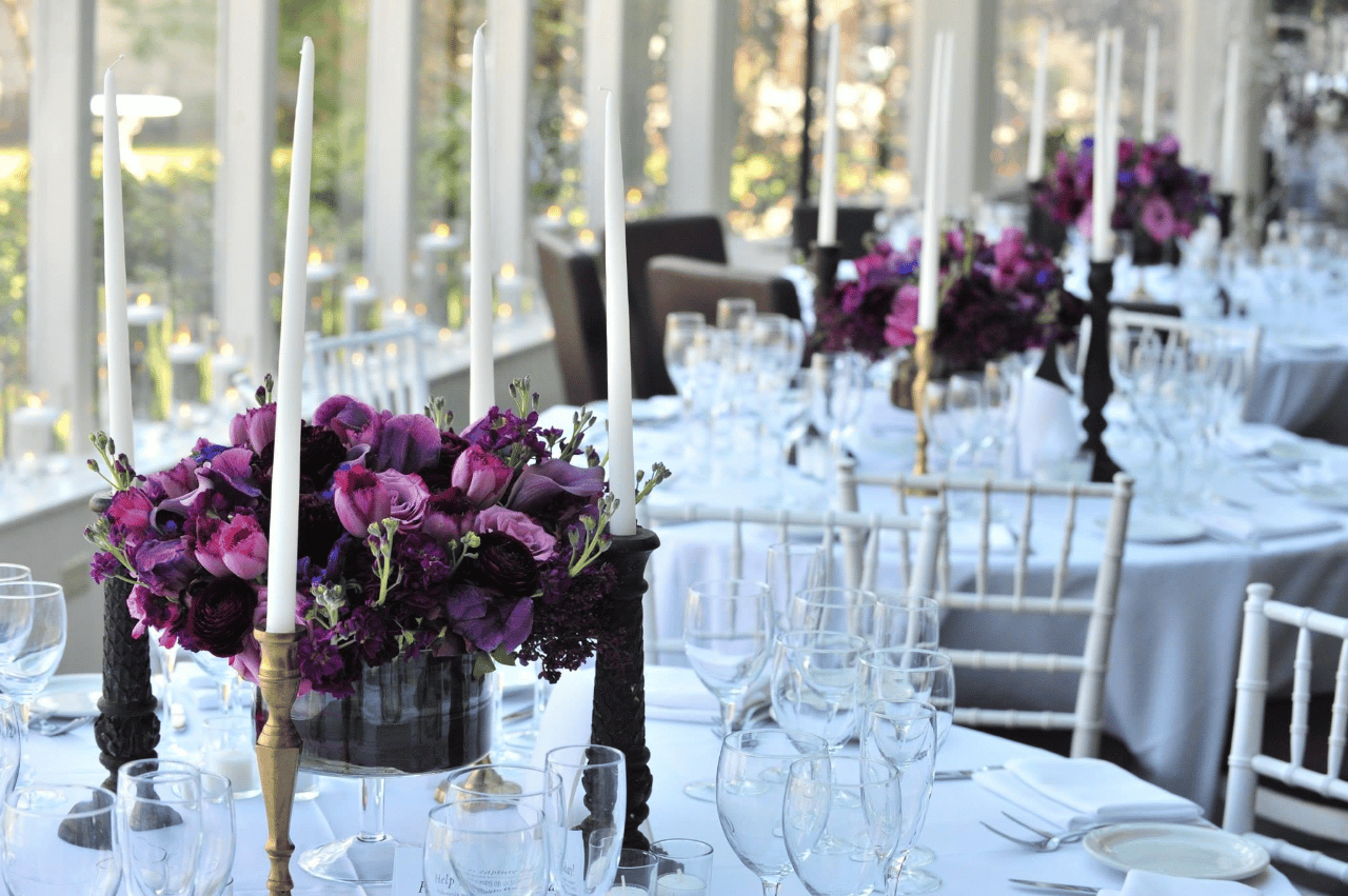 The Event of a Lifetime, Inc. portfolio 2