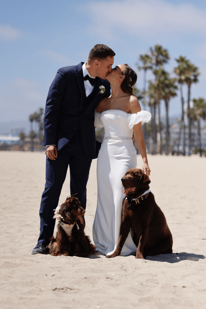 Pawlifornia Dreamin'
