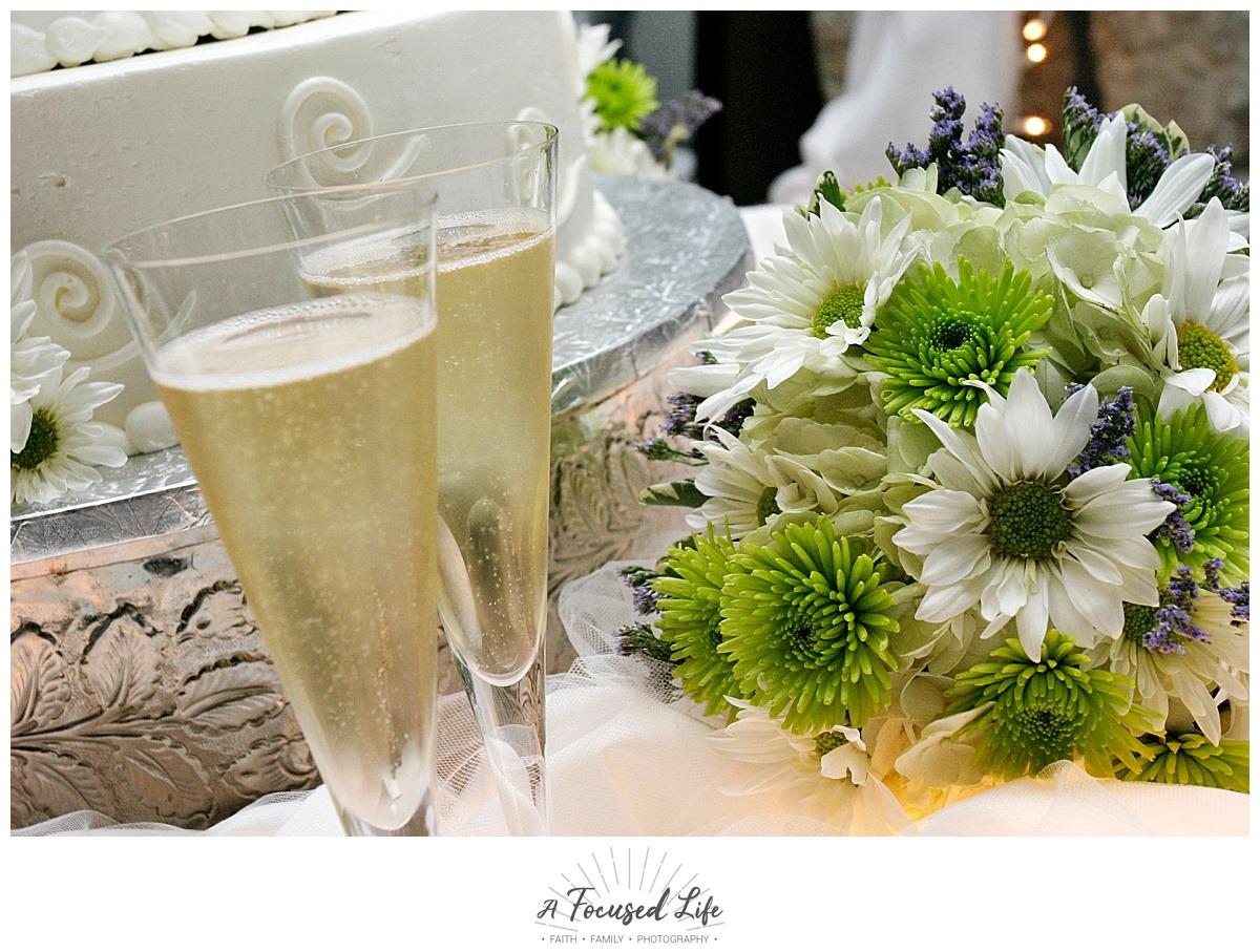 A Focused Life Photography portfolio 4