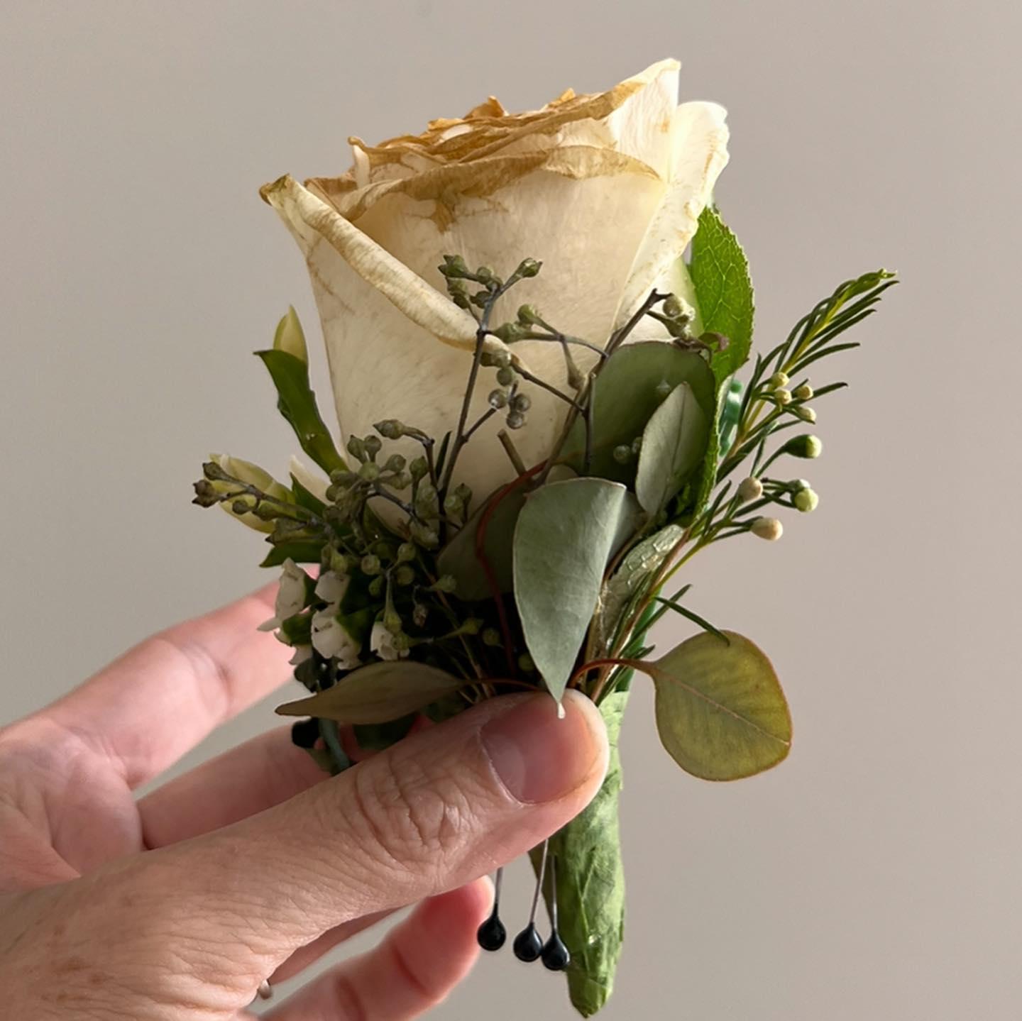 Parched Floral portfolio 4
