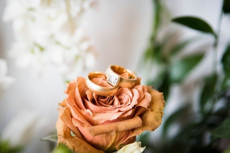 Simply Petals by Annelise Rothe portfolio 2