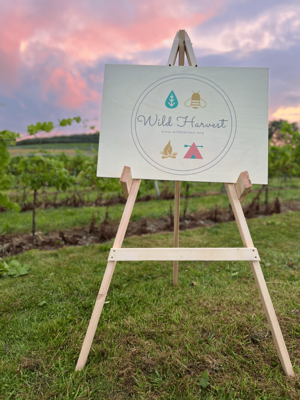 Wild Harvest Nature-Inspired Wedding Day Activities portfolio 3