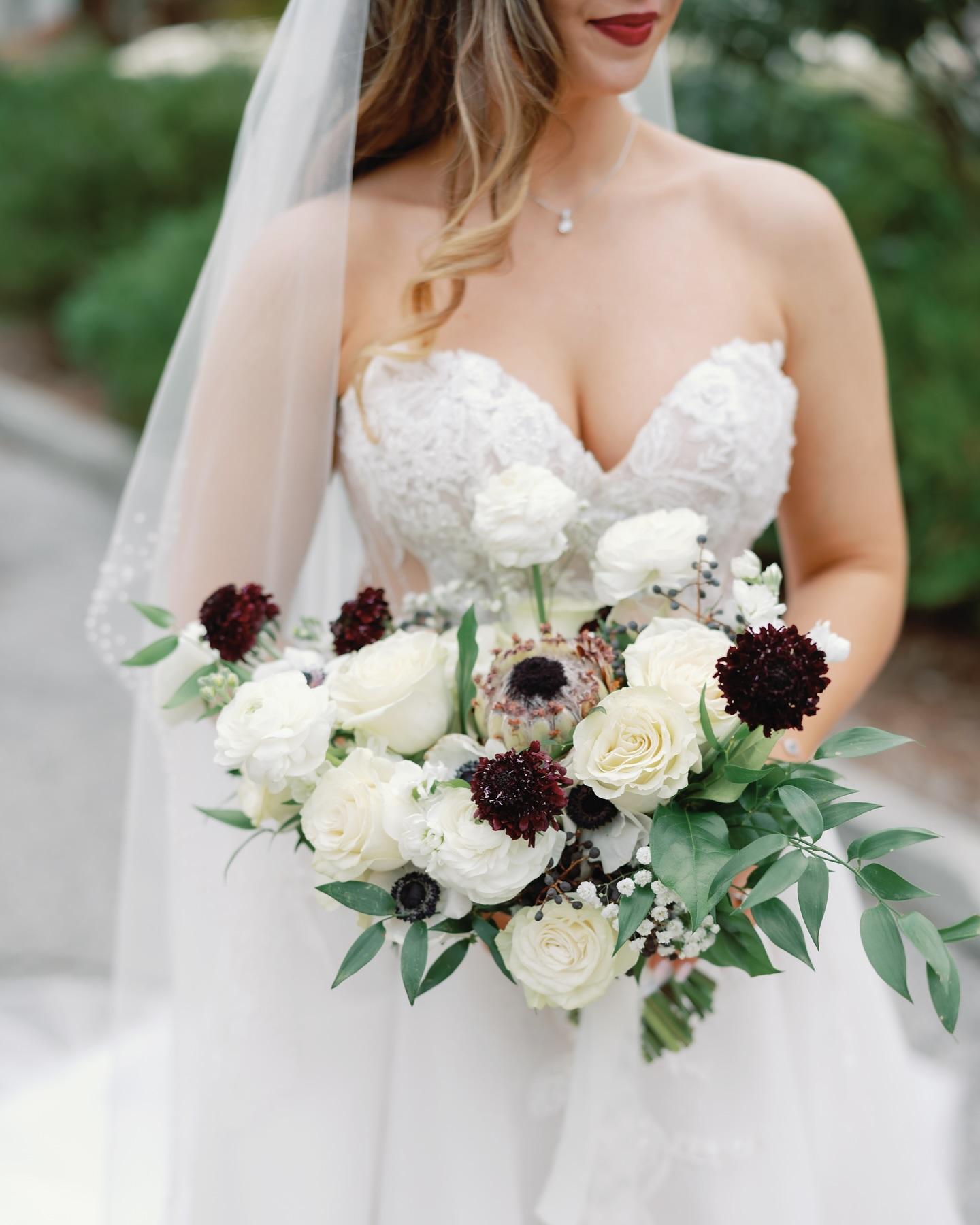 Stephanie Lanni Photography portfolio 2