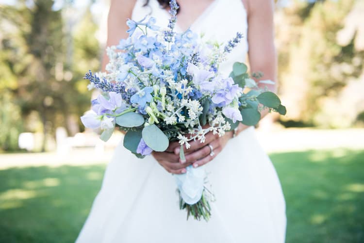 Big Sur Flowers portfolio 2
