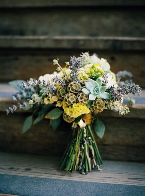 Big Sur Flowers