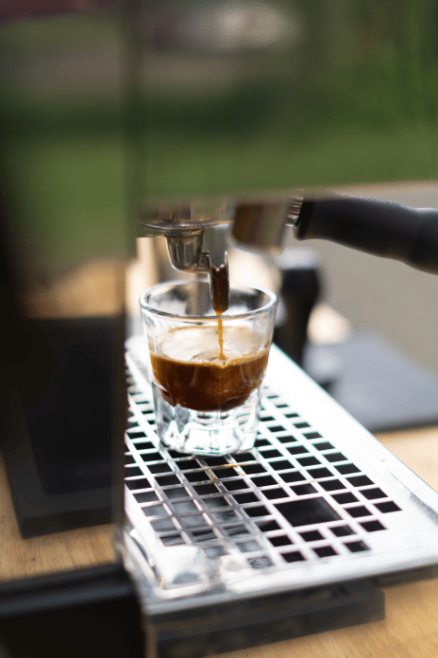 Velvet Moon Coffee portfolio 3