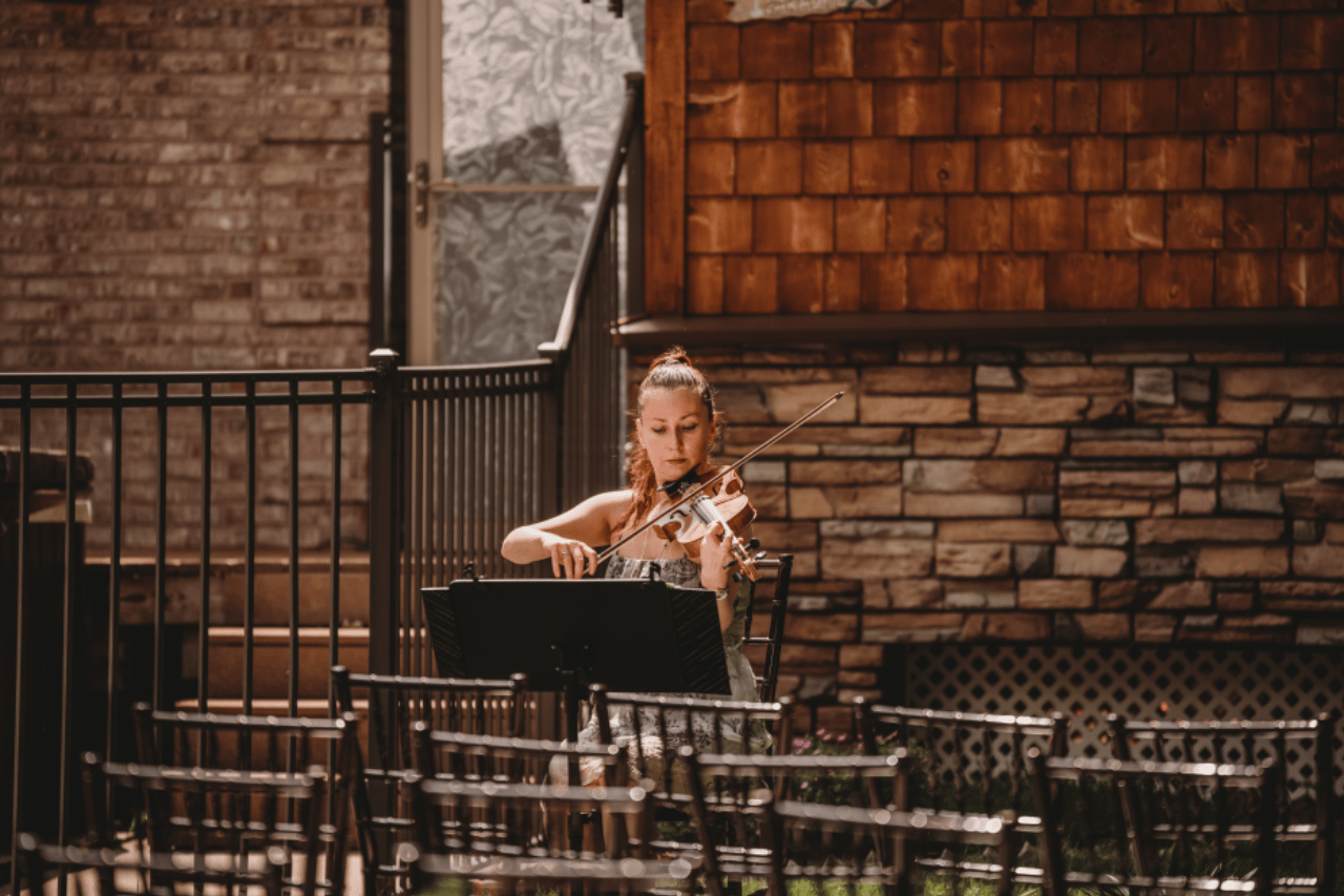 Florys Violin Art portfolio 2