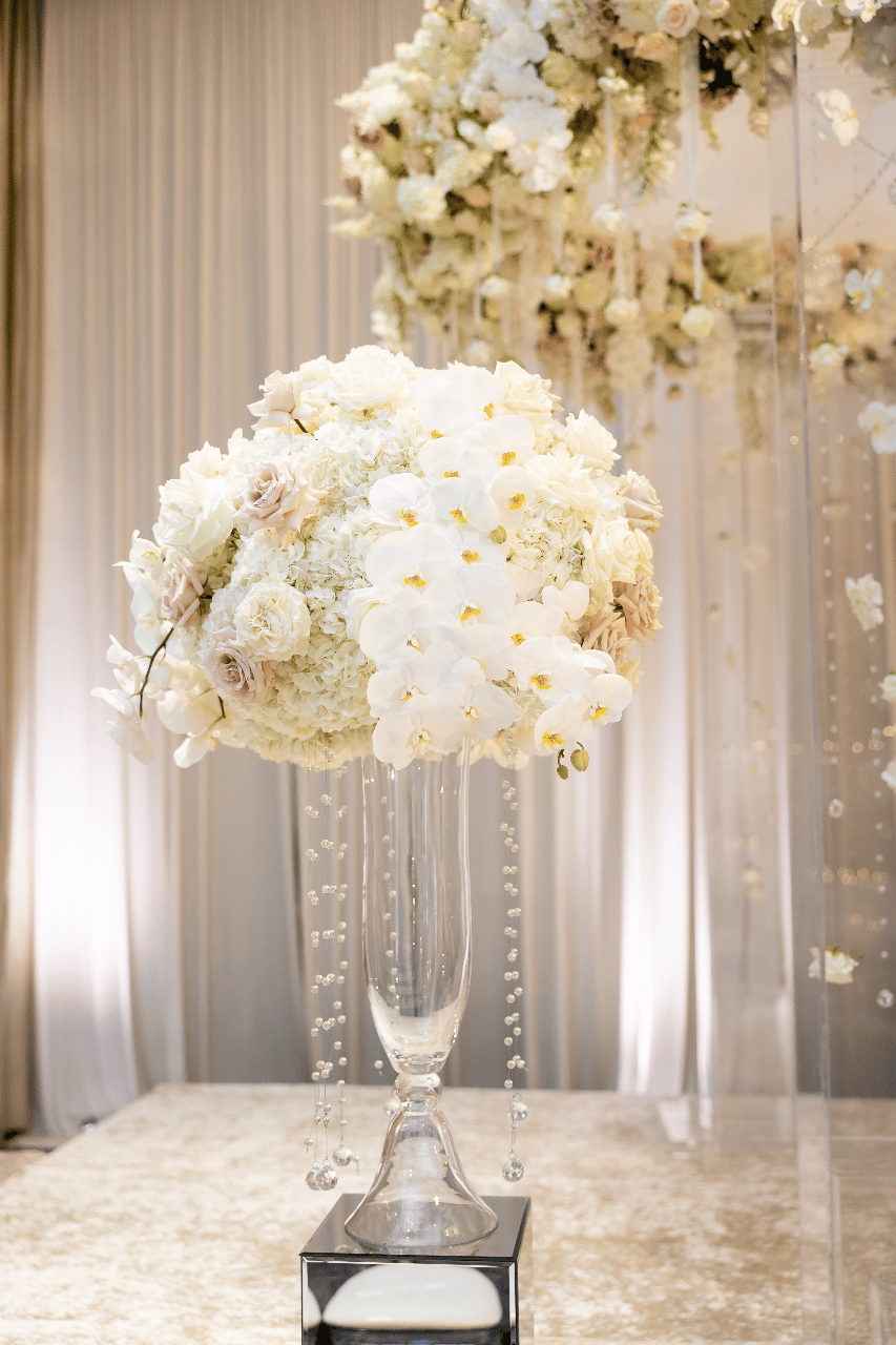 Yanni Design Studio