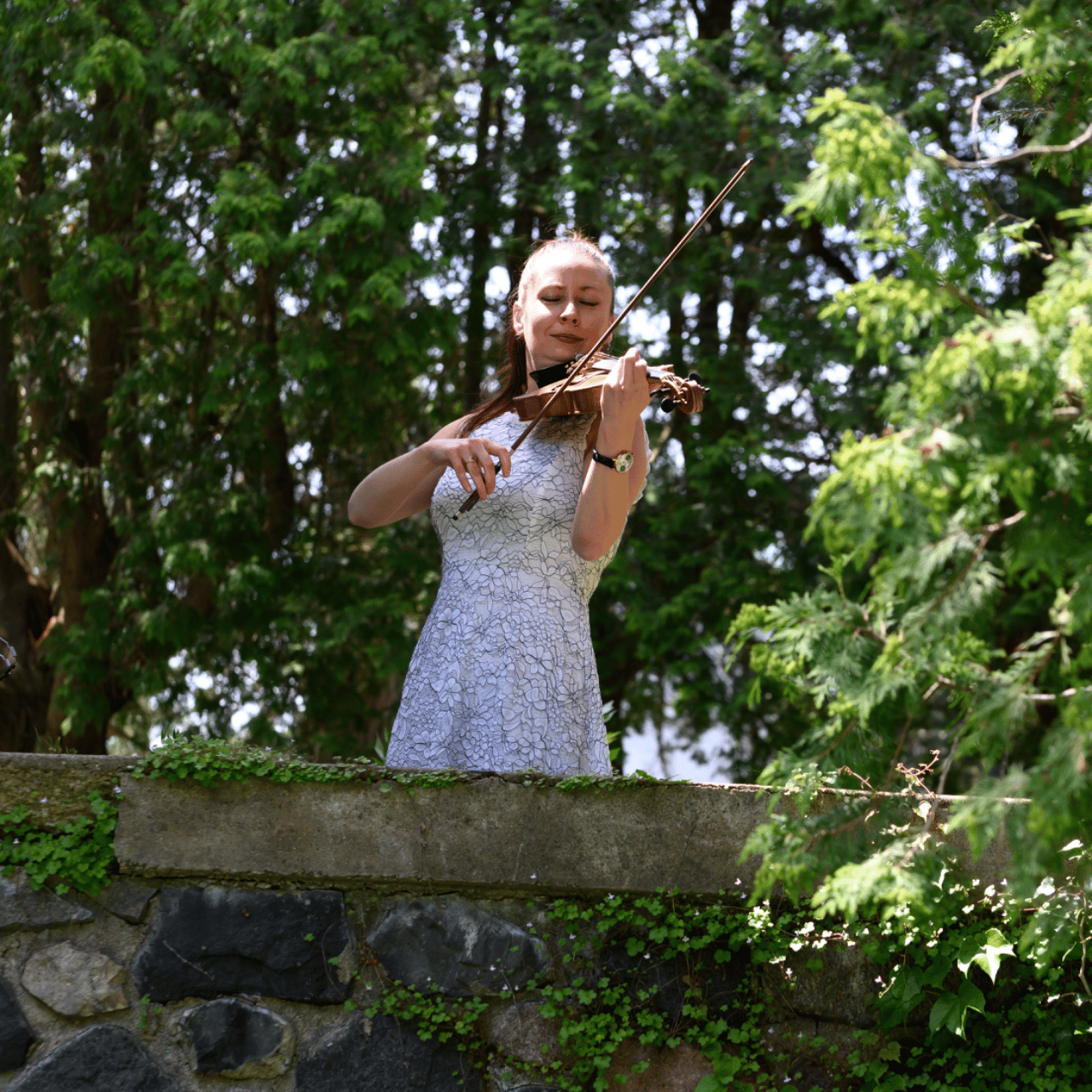 Florys Violin Art portfolio 3