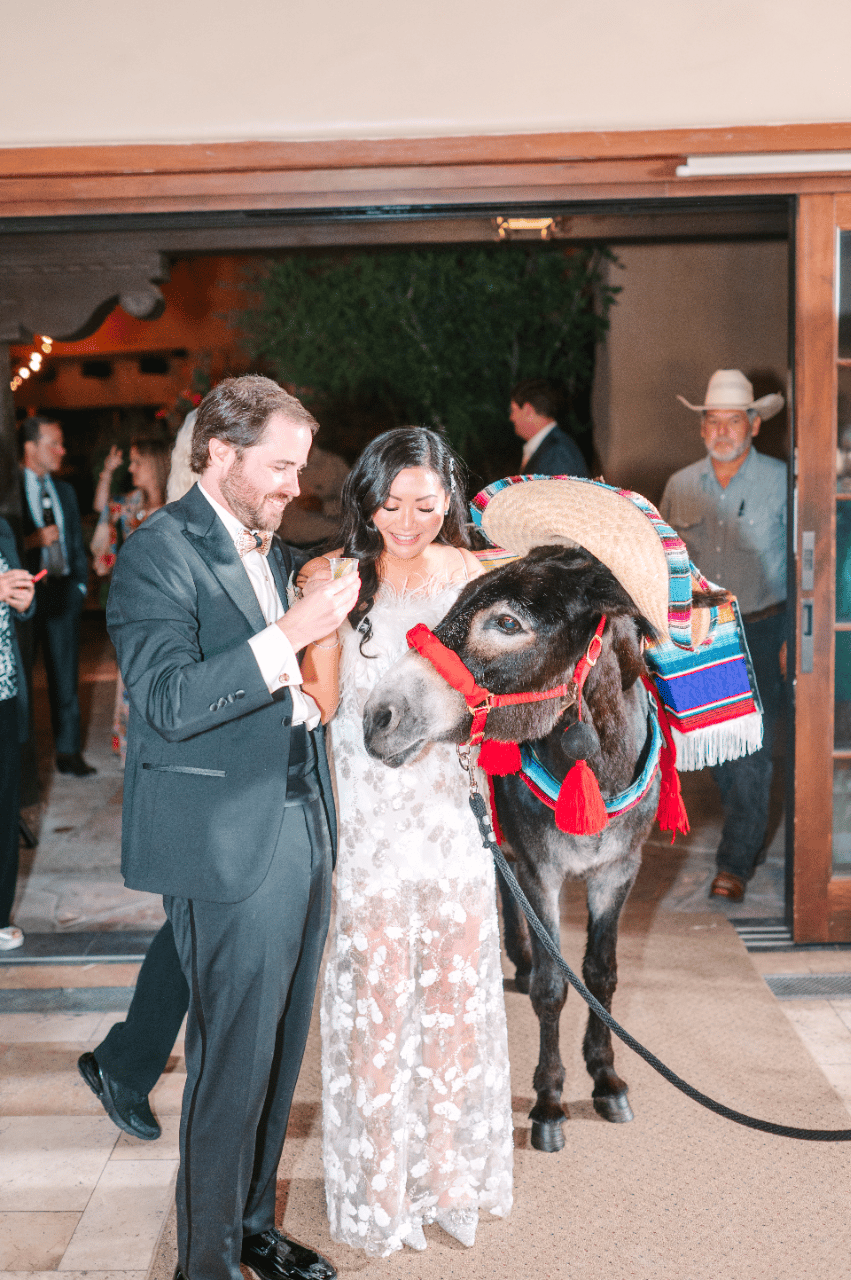 Bear Creek Adventures-Tequila Donkey