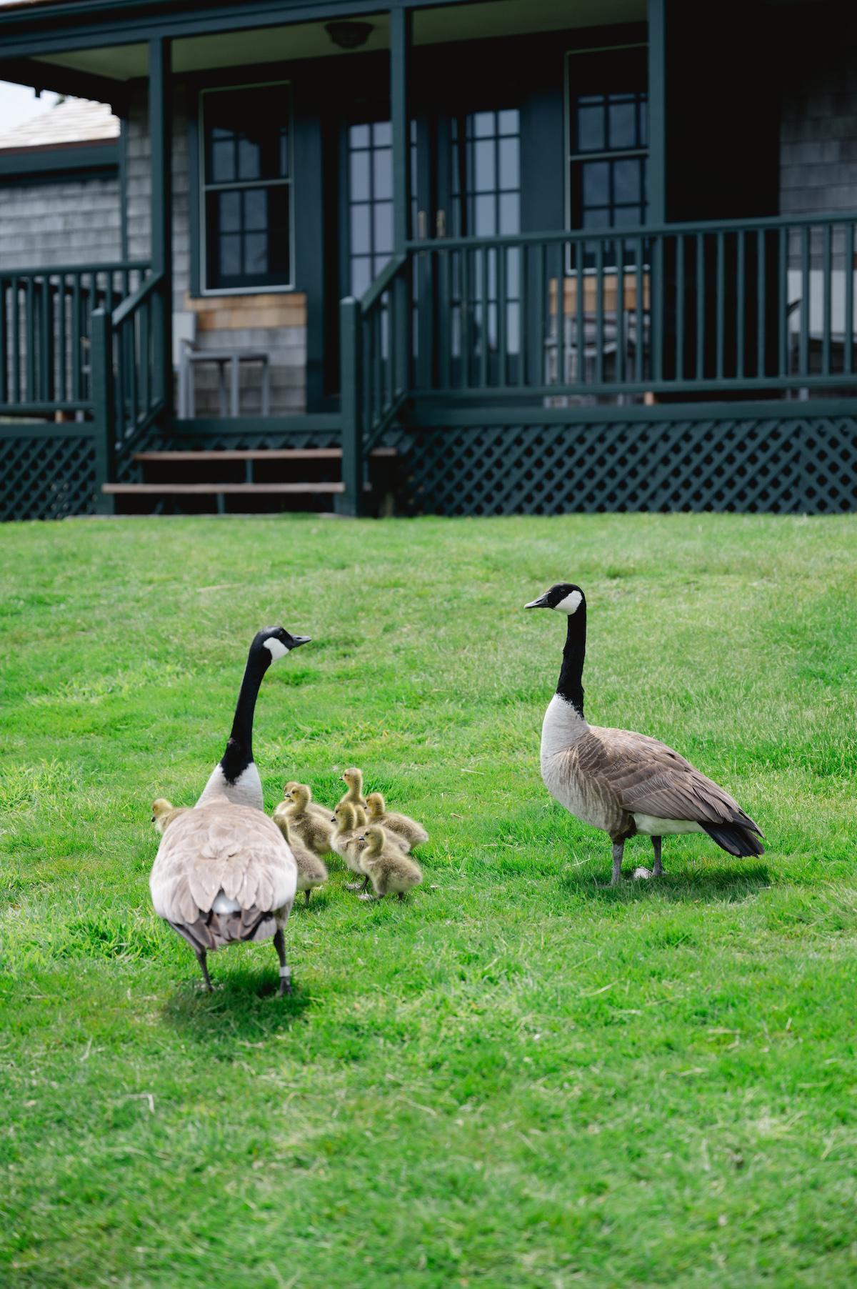 A Whimsical Spring Wedding at the Castle Hill Inn 81