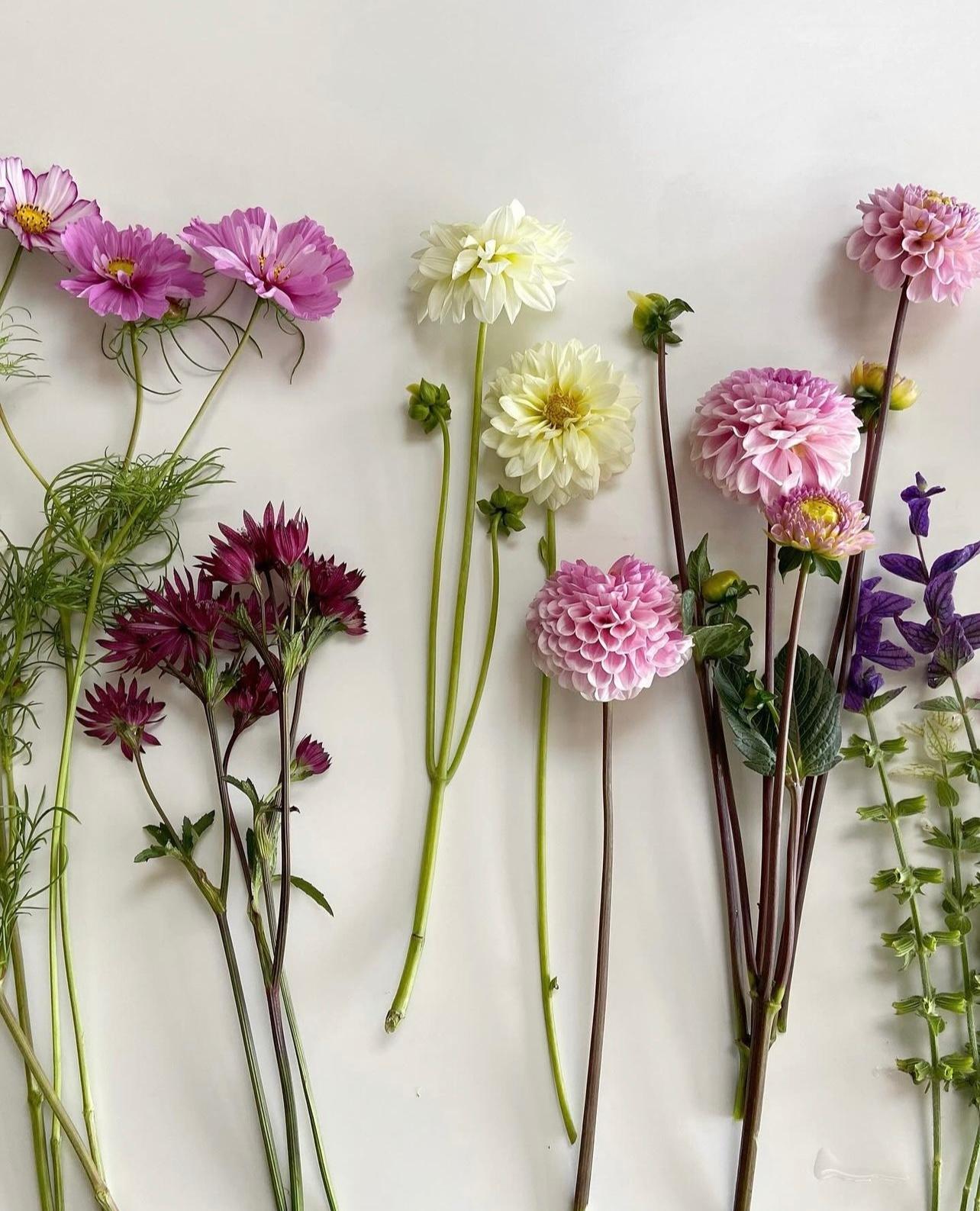 Fiore Flower School portfolio 2
