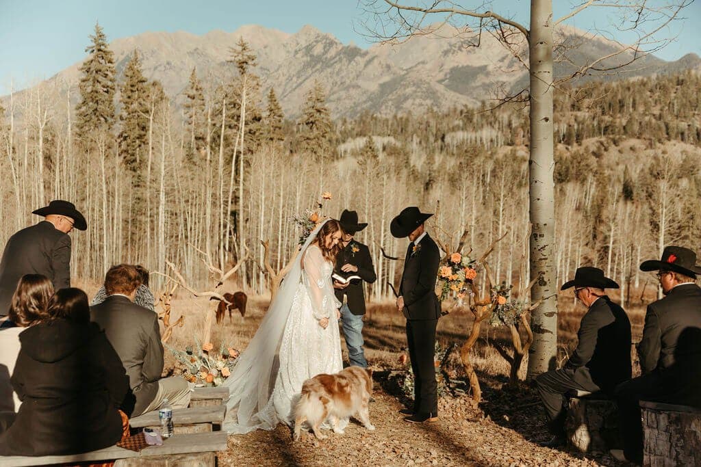 The Perfect Day Co. portfolio 1