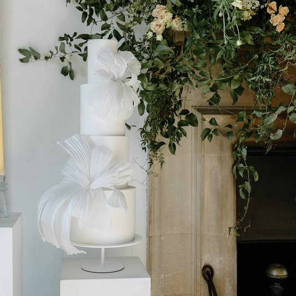 Sue Hurst Cake Design