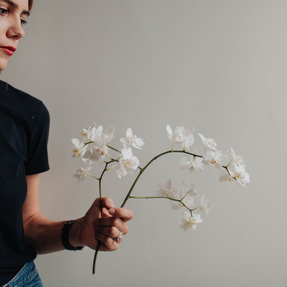 Extrafloral