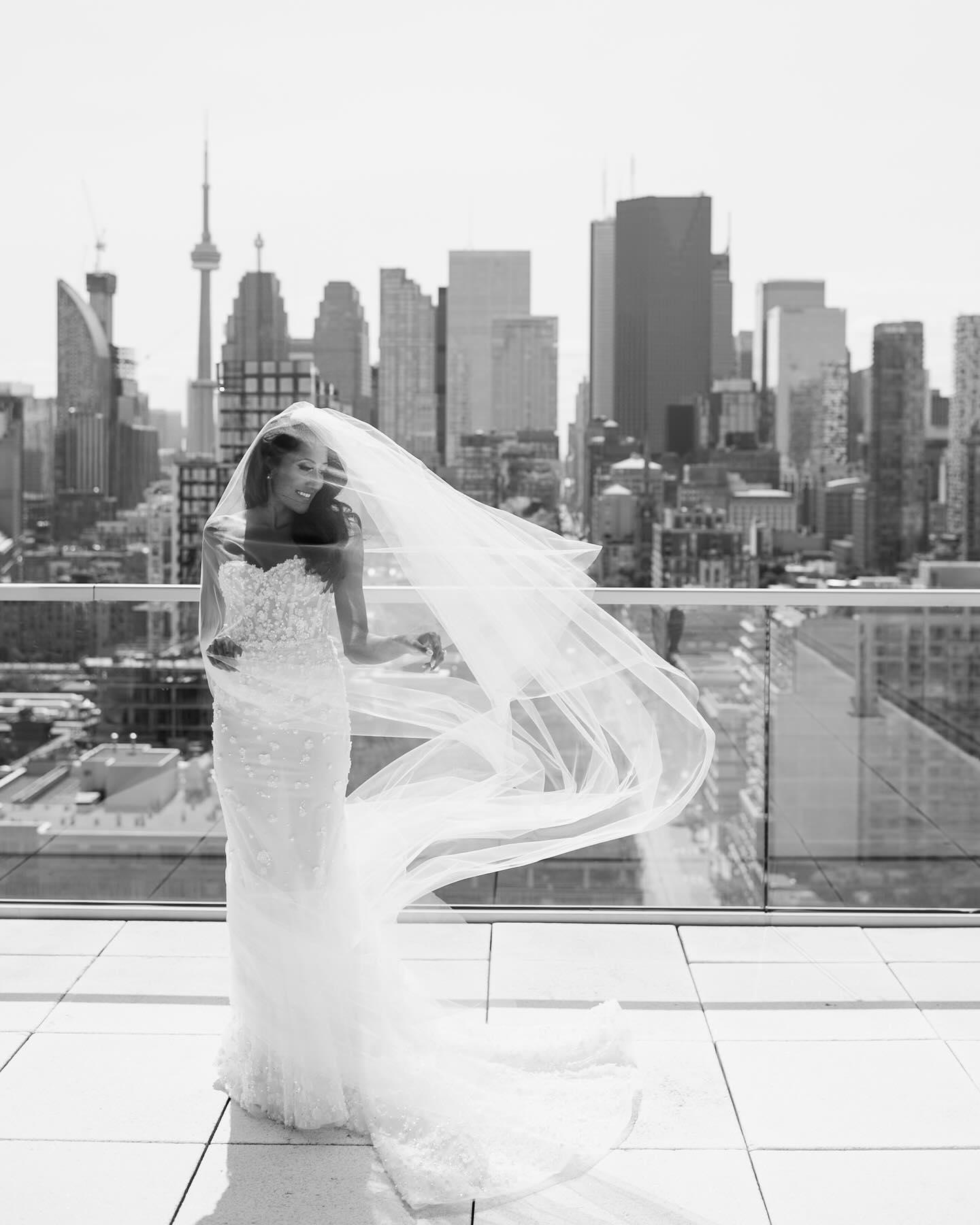 Lace and Luce portfolio 1