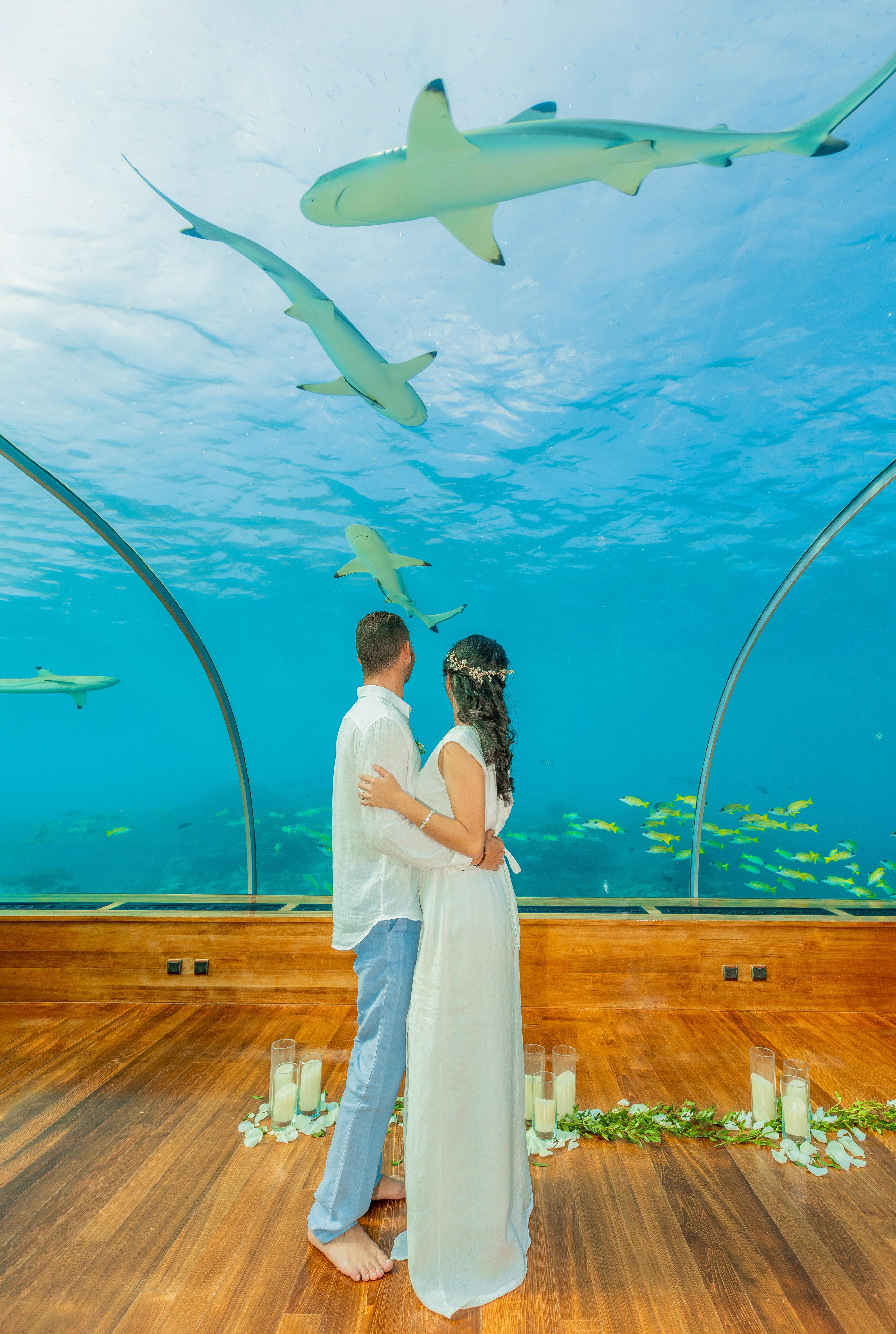 Conrad Maldives Rangali Island portfolio 5
