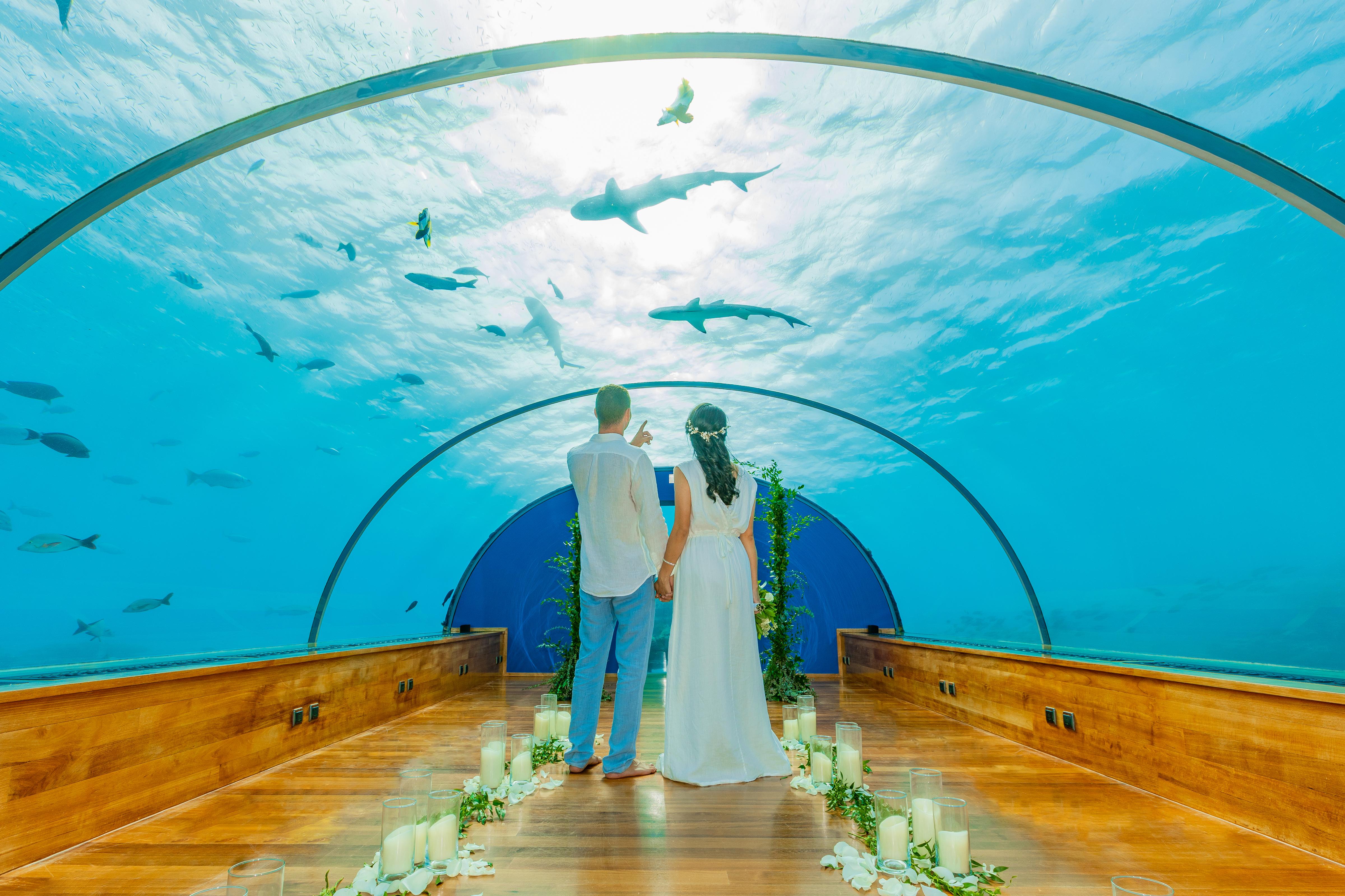 Conrad Maldives Rangali Island portfolio 2