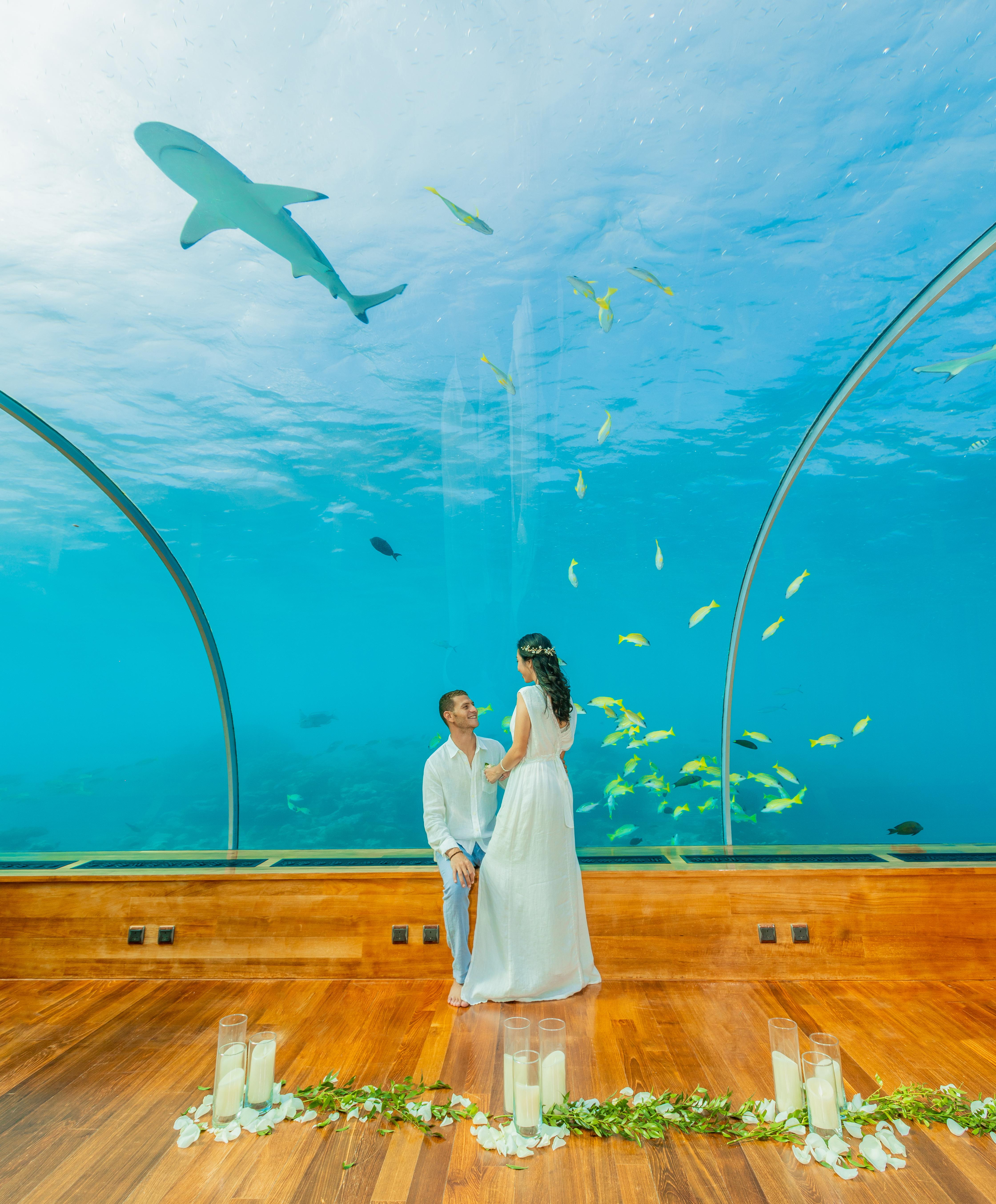 Conrad Maldives Rangali Island portfolio 3