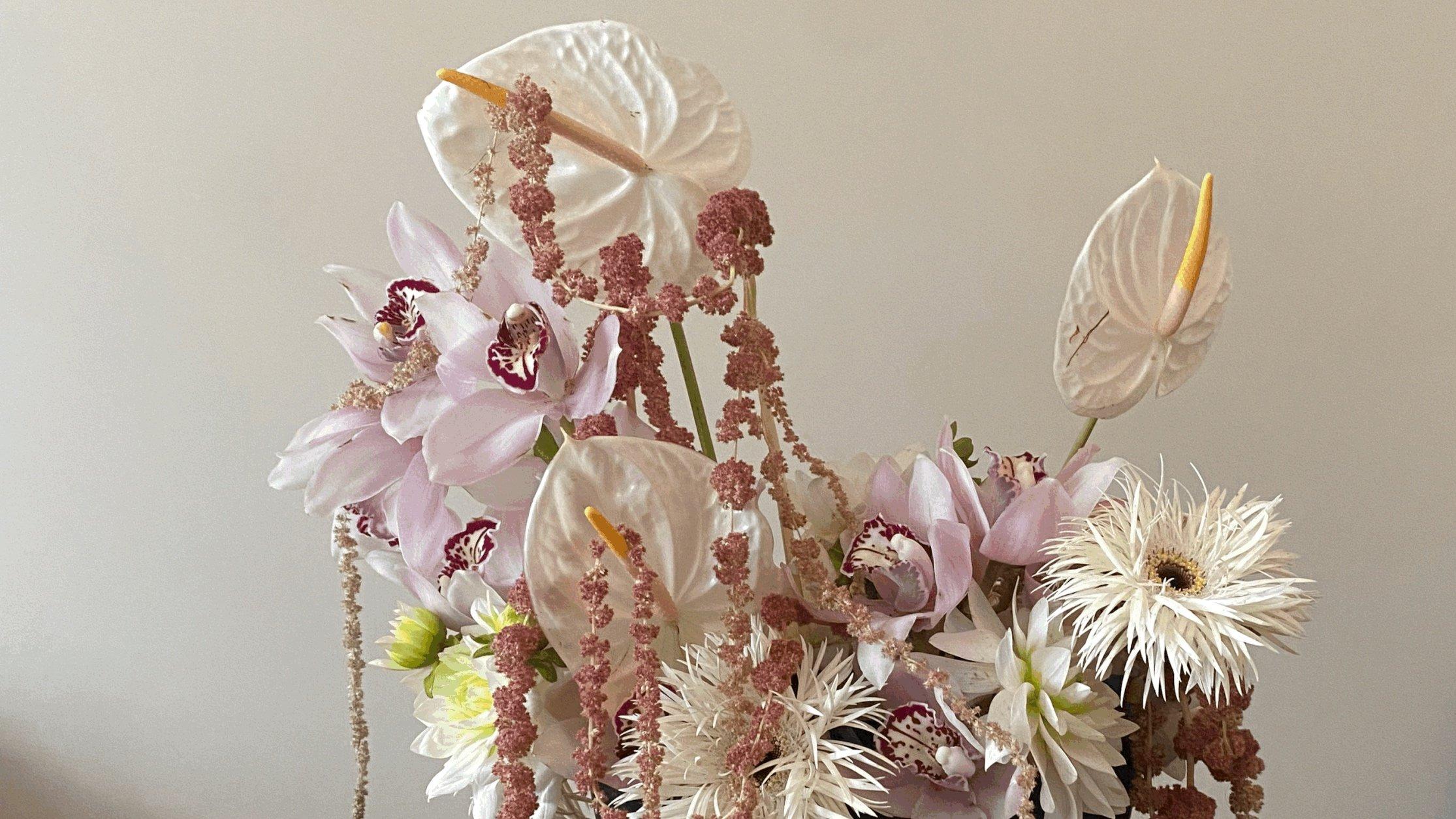 Flower House Studios portfolio 5