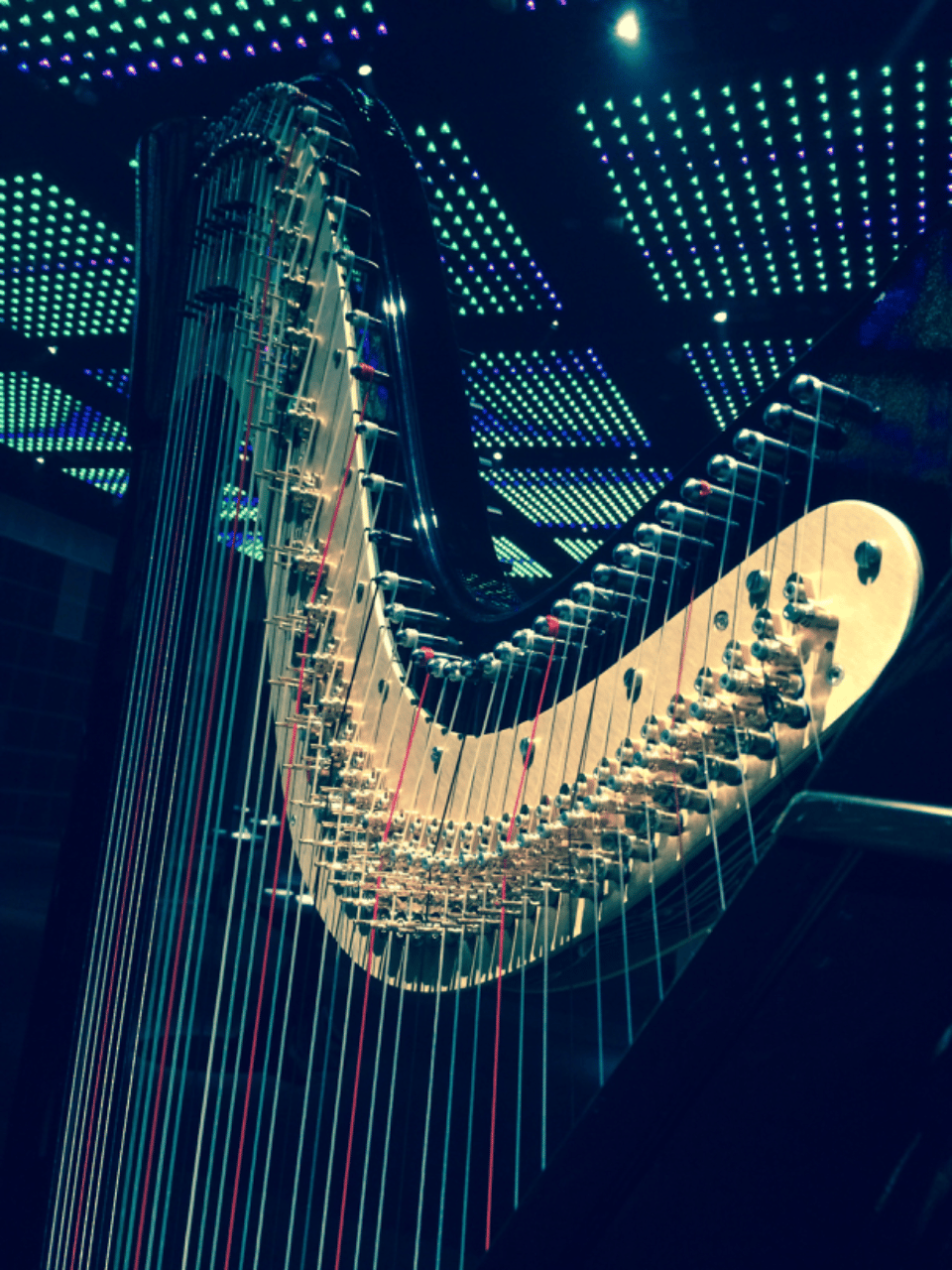 Eilidh McRae - Harpist portfolio 5