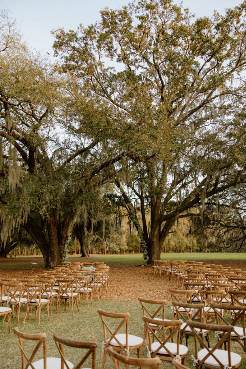 Hewitt Oaks