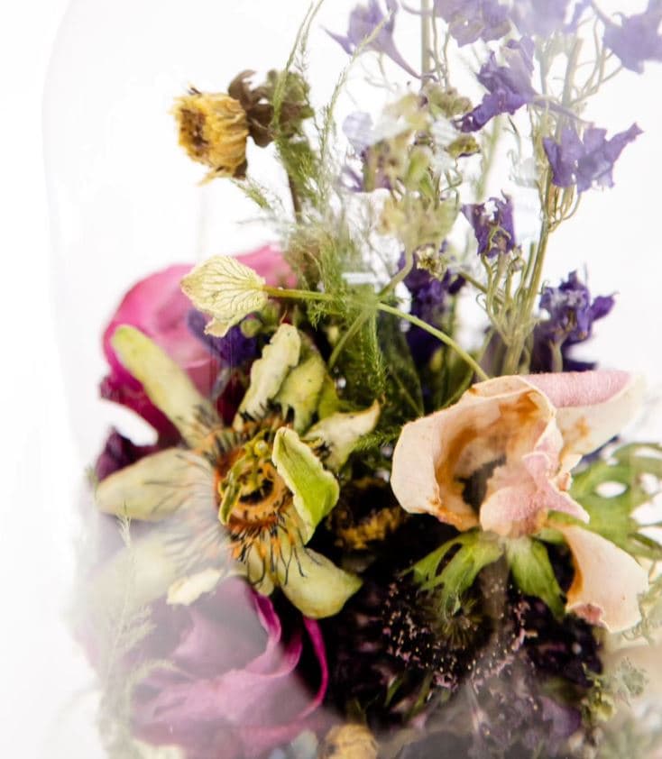 The Bride's Floral Mortician portfolio 4