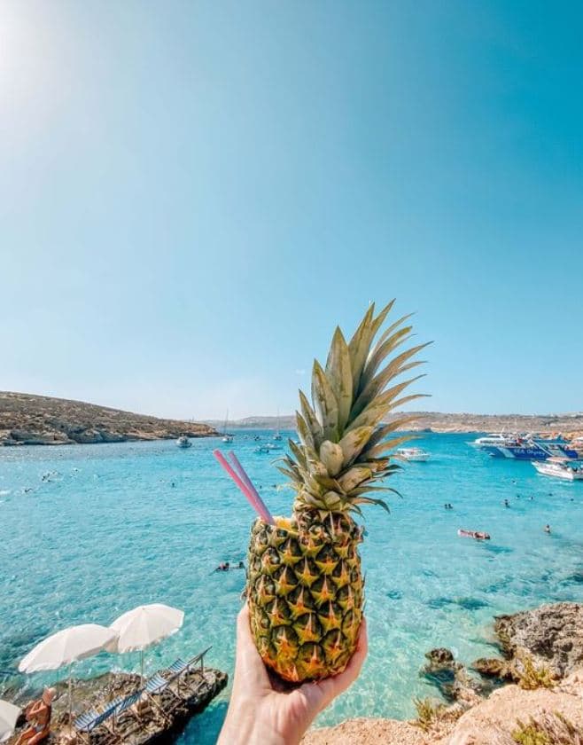 @TravelAdvisorNak portfolio 2