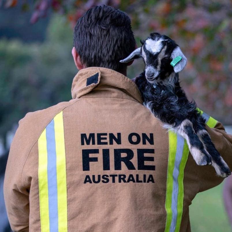 Men On Fire
