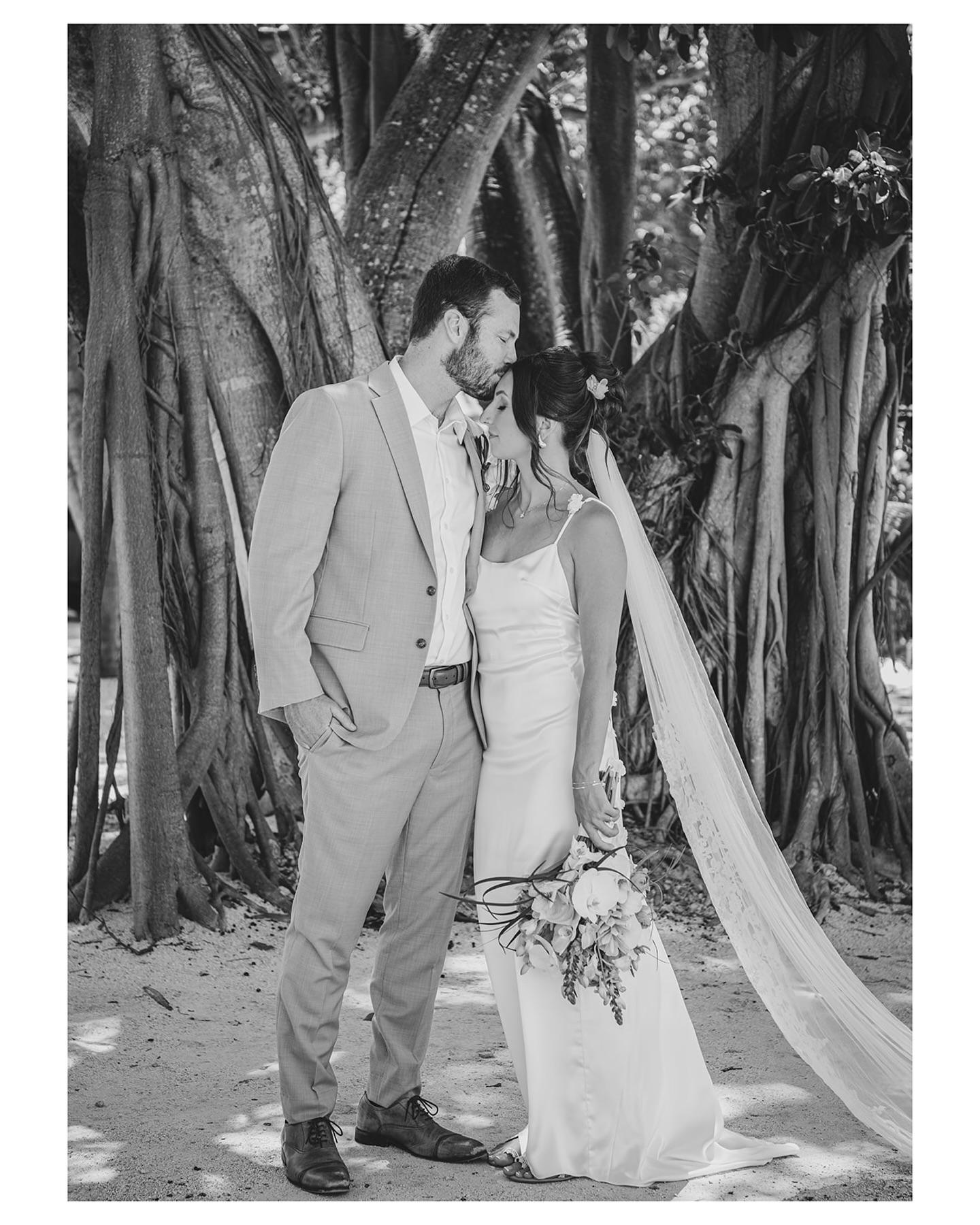 Monica Sheehan Photography portfolio 3