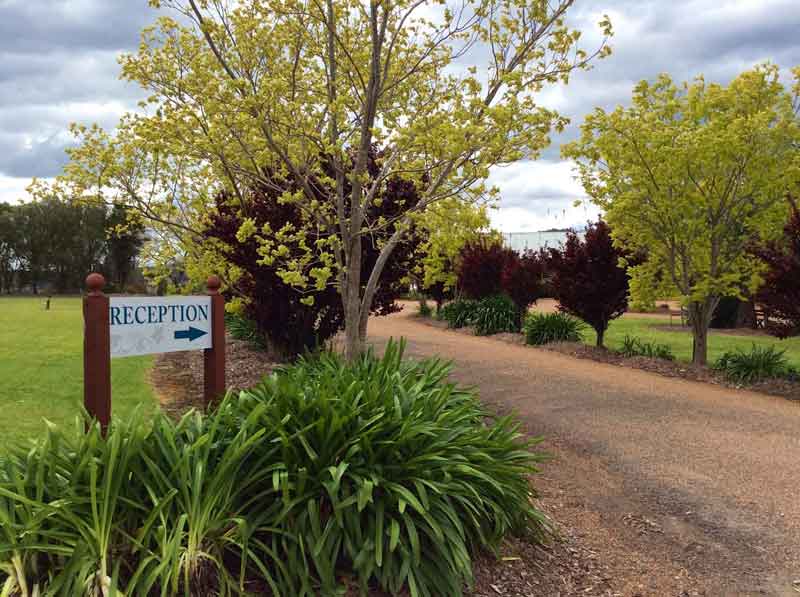 Bluebush Estate portfolio 2