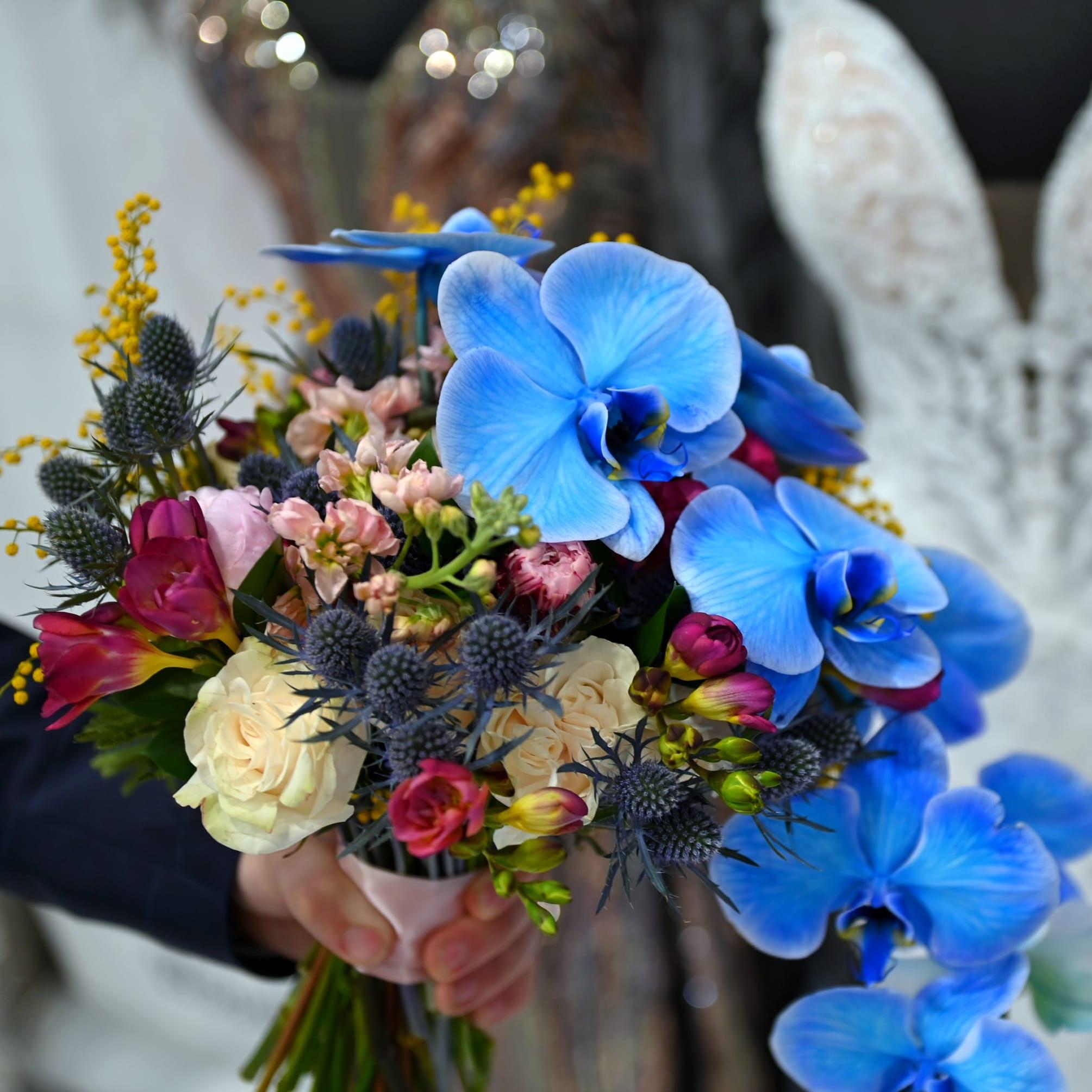 Raven Blooms