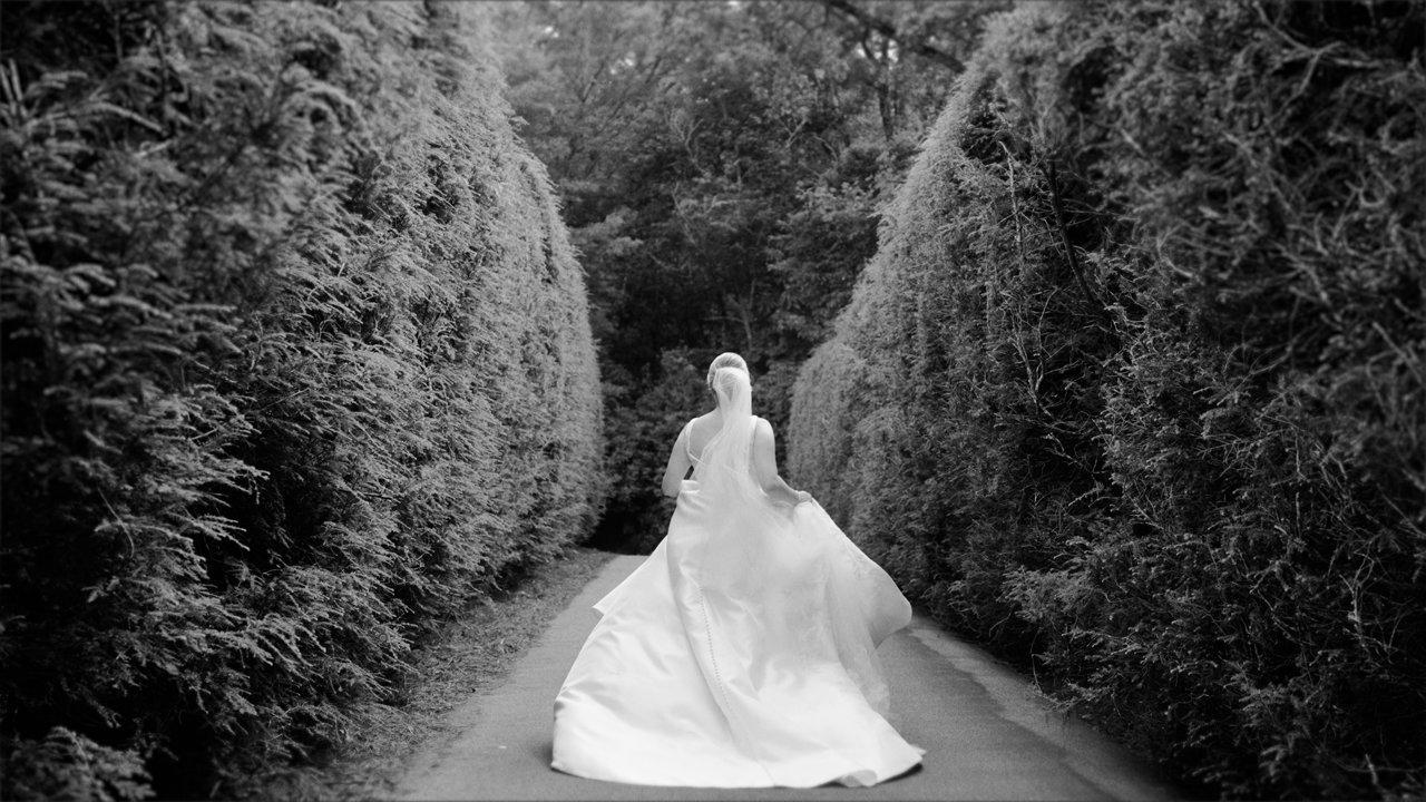 Foraged Films portfolio 3