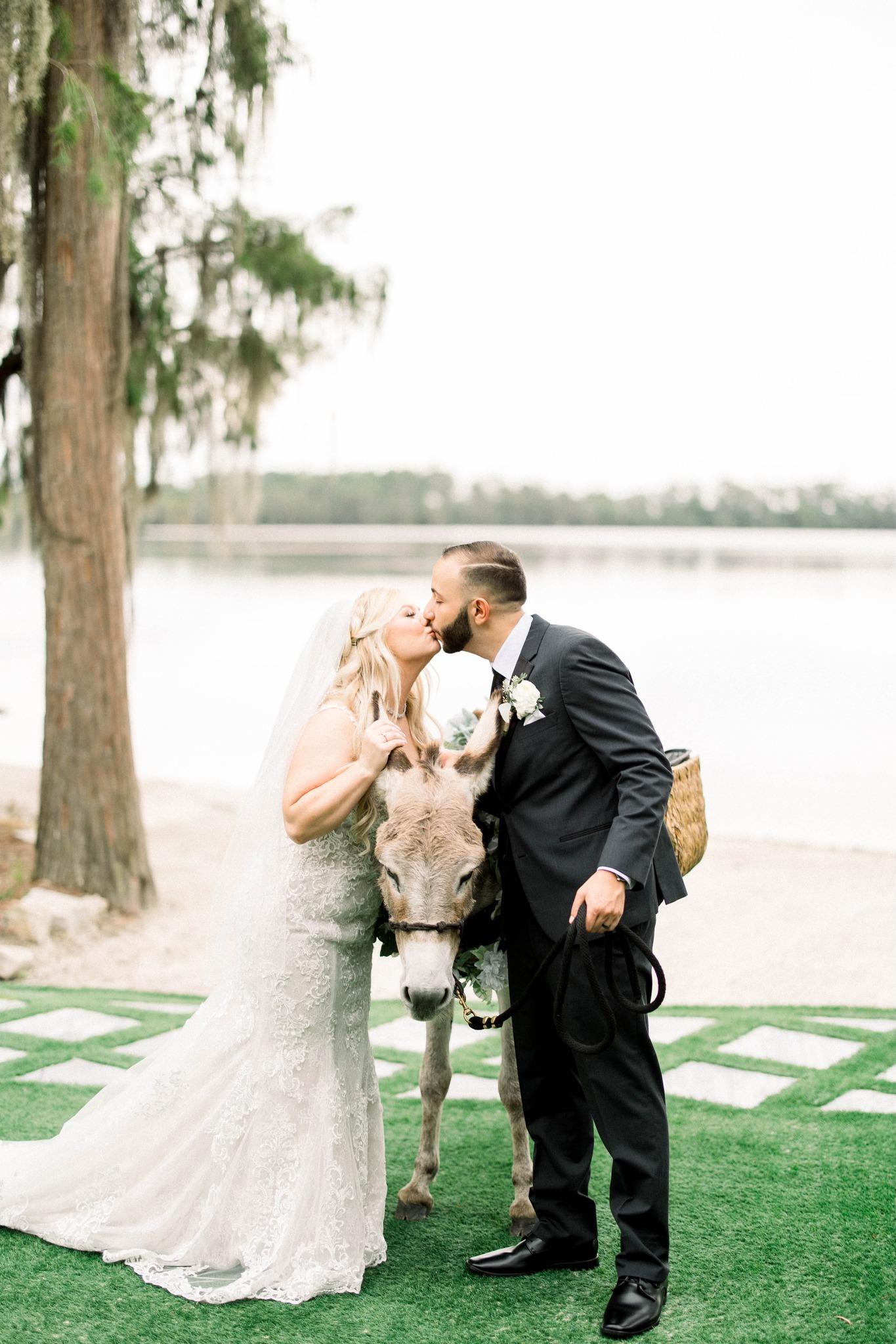 Mint Forever Photography & Videography