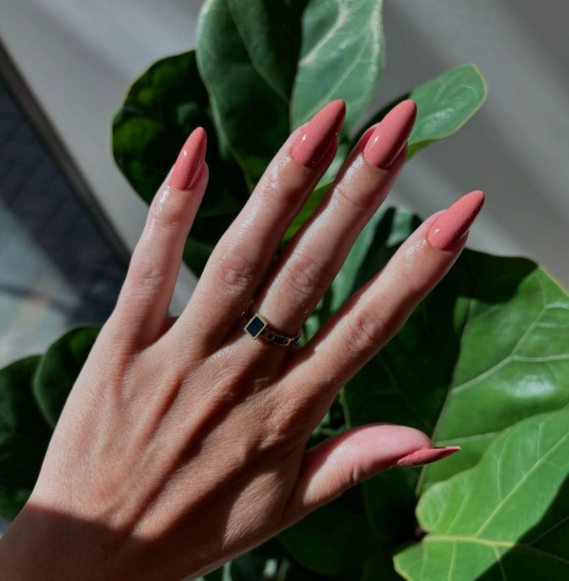 Arco Beauty Bar
