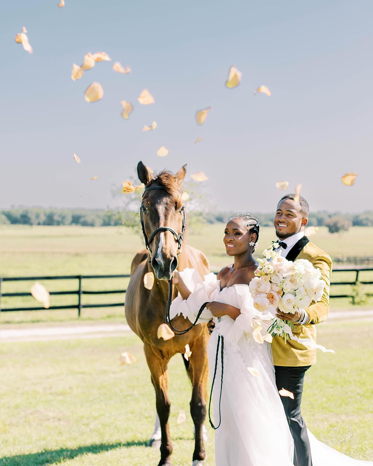 Terrie Images LLC portfolio 2